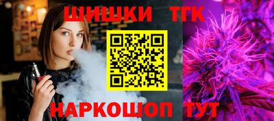 индика Шелехов