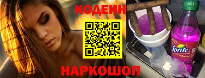 индика Шелехов