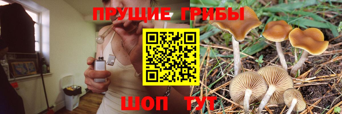 Воронеж  Галлюциногенные грибы MAGIC MUSHROOMS  Вход с VPN 